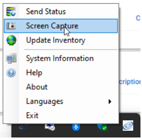 How to screen grab on a PC