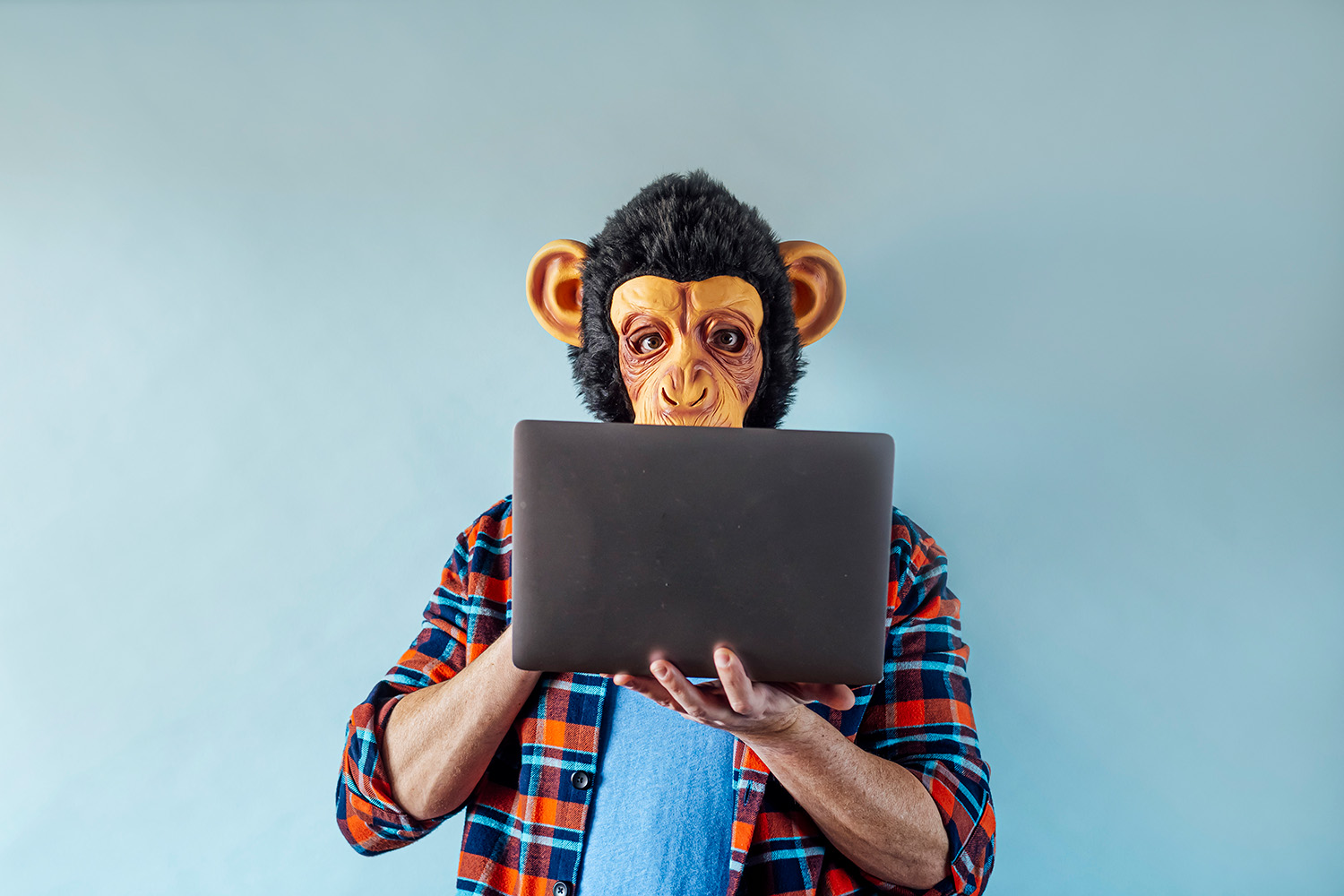 Chimp on a Laptop Computer