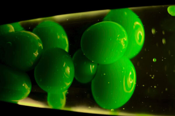 Lava Lamp